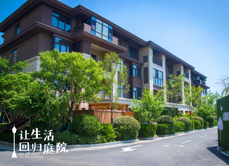 前后张望南阳50年：这样的天井，很难再有了！