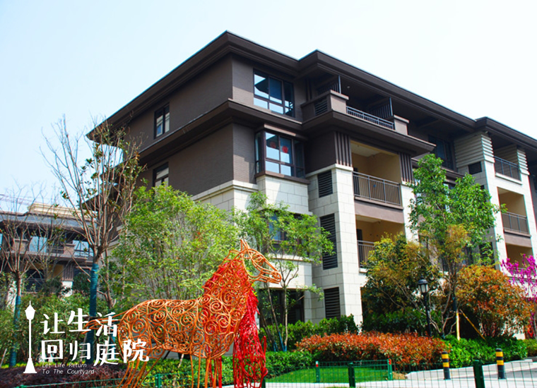 前后张望南阳50年：这样的天井，很难再有了！