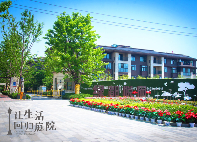前后张望南阳50年：这样的天井，很难再有了！