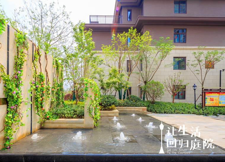 前后张望南阳50年：这样的天井，很难再有了！
