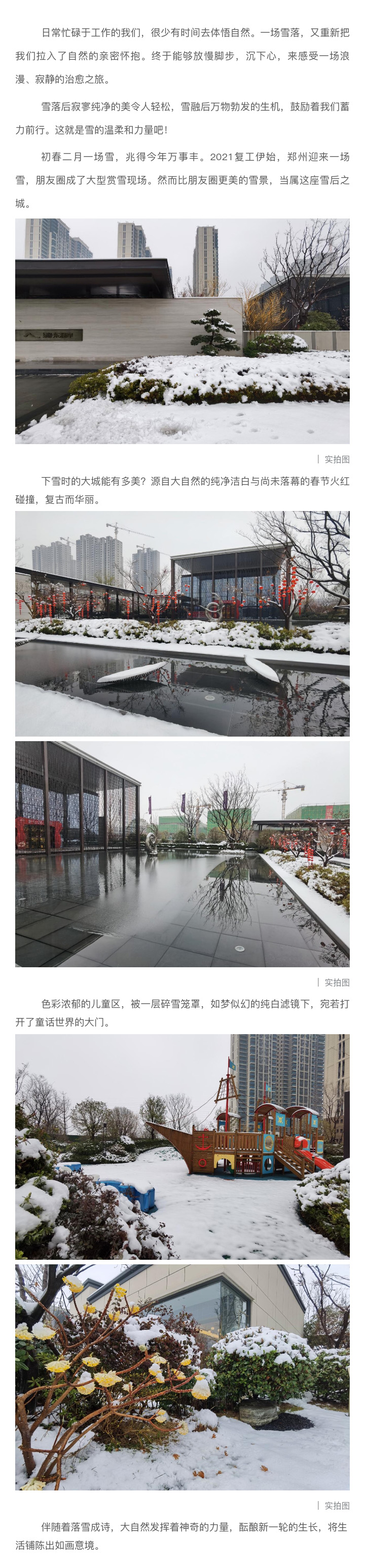 2021浪漫开年，共赏一场鹅毛大雪！