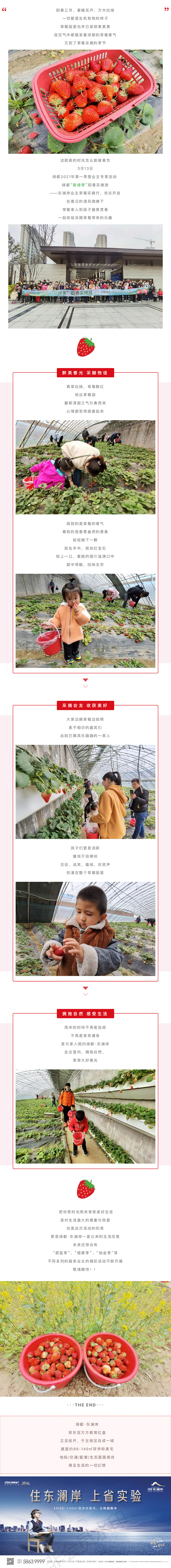 草莓采摘行|“莓”好同业，不负春日好时光