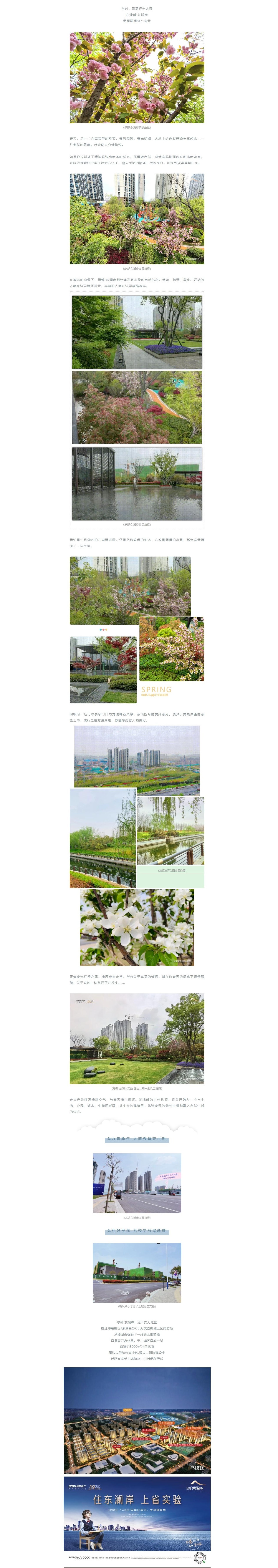 赏花踏青，来一场和春天的约会